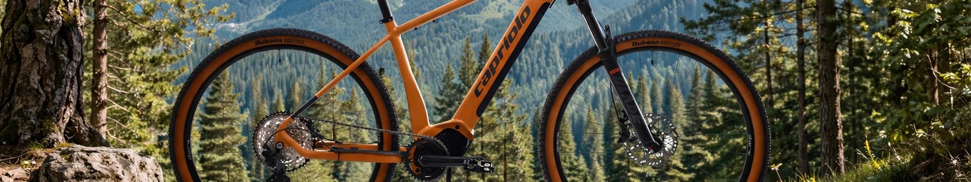 E-bike
