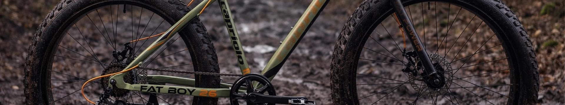 Fat bike