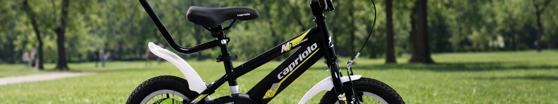 BMX 12
